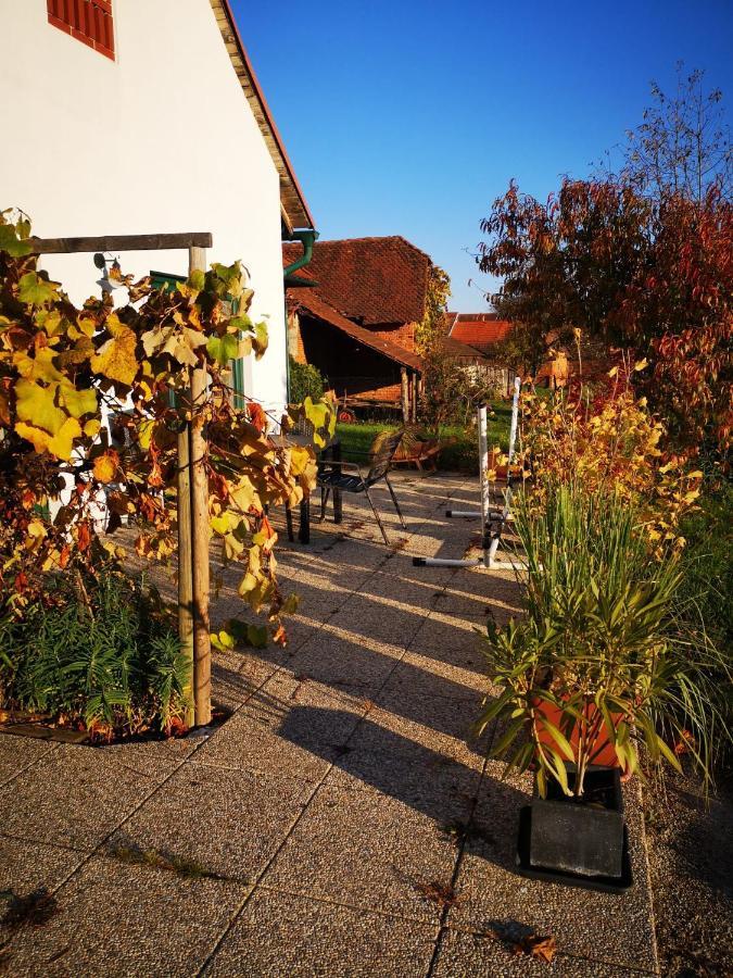 Ferienwohnungen Und Appartements Im Idyllischen Vierkanthof, Gruppenurlaube Fürstenfeld Εξωτερικό φωτογραφία
